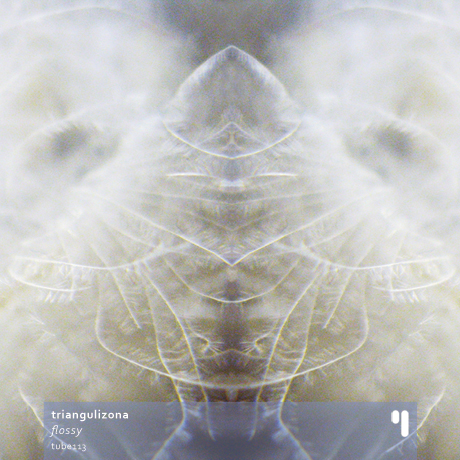 TrianguliZona - Flossy (album art)